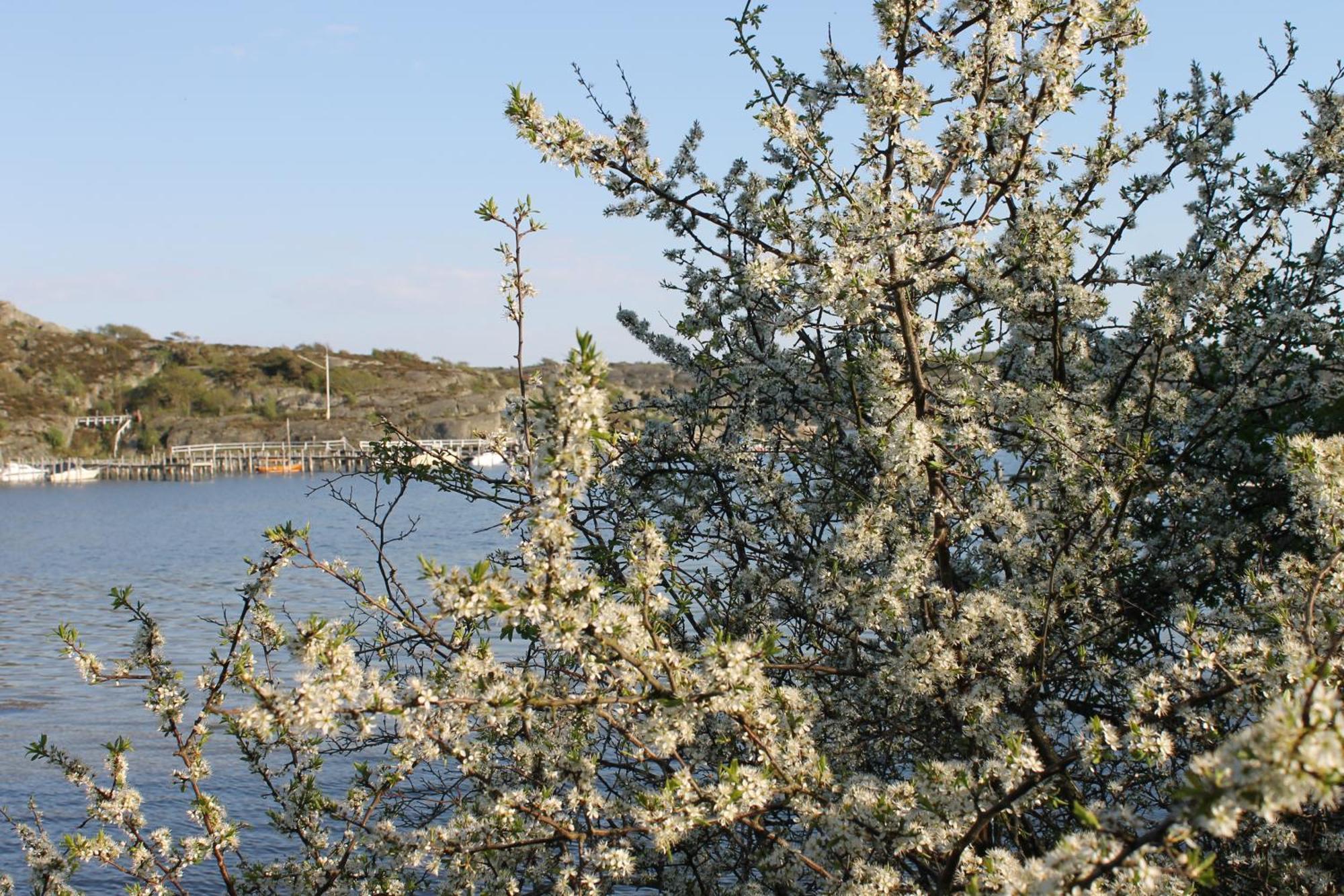 Tofta Herrgard Lycke 外观 照片